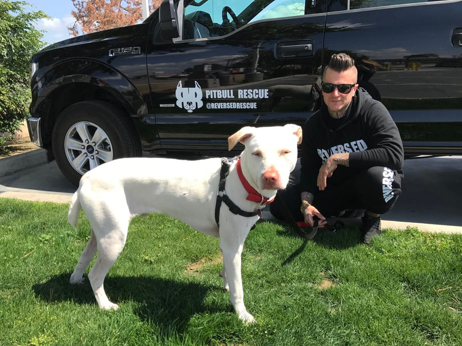 Boss Farms rescue