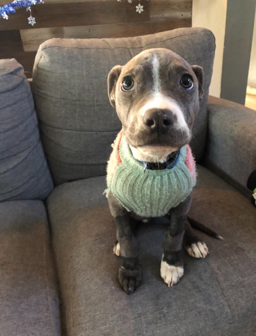 Boss Farms rescue