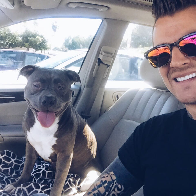Boss Farms rescue