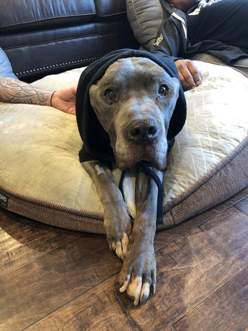 Boss Farms rescue