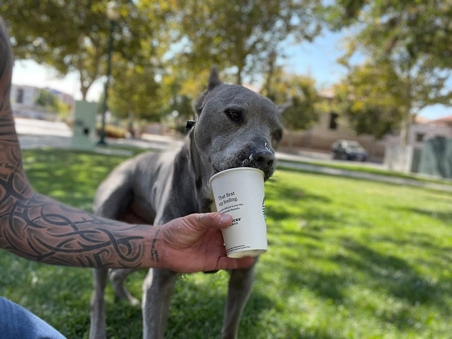 Boss Farms rescue