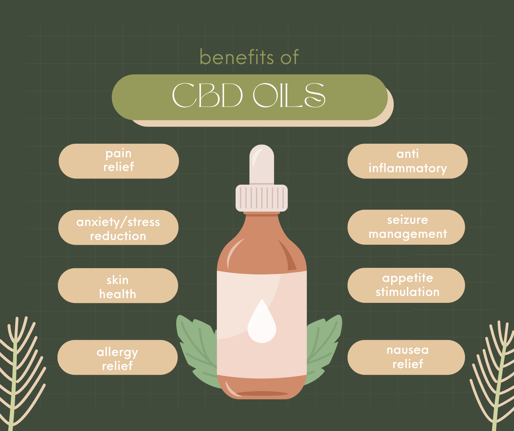 Medium Organic Coconut CBD Oil : Hip & Joints Health / Skin & Coat : 1 oz - 350 mg CBD for dogs and cats