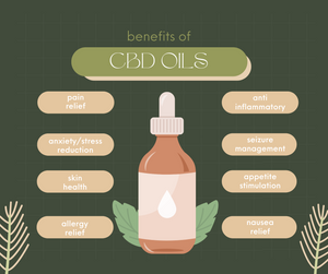 Medium Organic Coconut CBD Oil : Hip & Joints Health / Skin & Coat : 1 oz - 350 mg CBD for dogs and cats