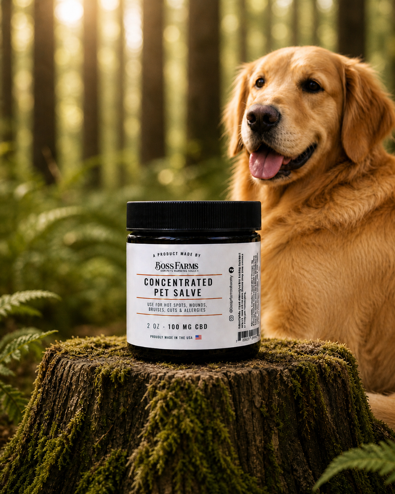 🐾 Wound & Hot Spot Salve 🐾 100 mg CBD