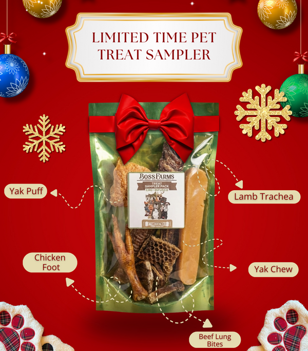 Pet Treat Variety Pack