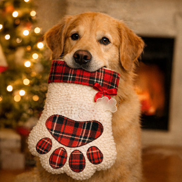 Dog Stockings with Treat Sampler & Freebie!