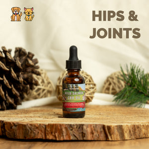 Medium Wild Salmon CBD Oil - 350 MG : 1 OZ : Healthy Hips & Joints Care Formula CBD for dogs and cats