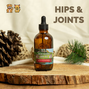 Large Wild Salmon CBD Oil - 1,400 MG : 4 OZ : Healthy Hips & Joints Care Formula CBD for dogs and cats