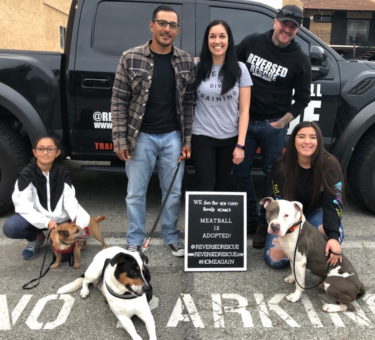 Boss Farms rescue