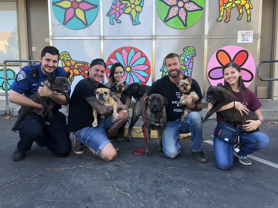 Boss Farms rescue