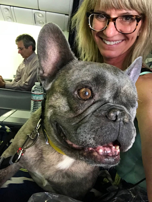 Boss Farms rescue