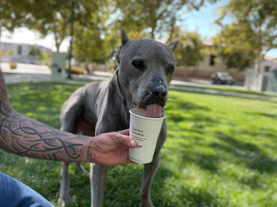 Boss Farms rescue