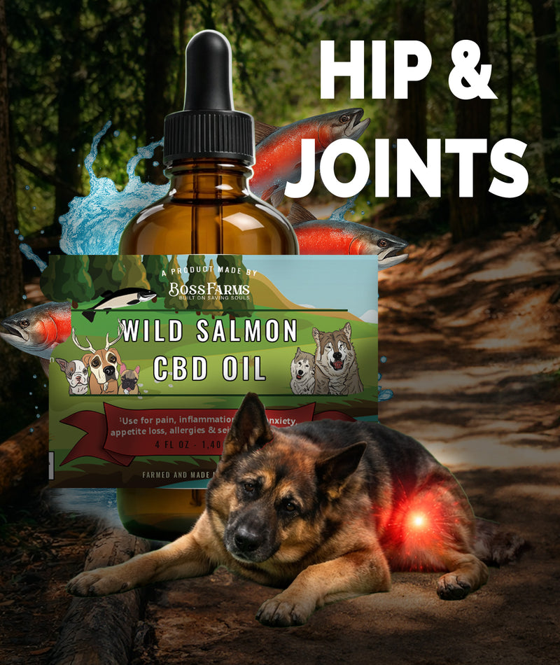 Wild Salmon Pet CBD Oil (Multiple Sizes)