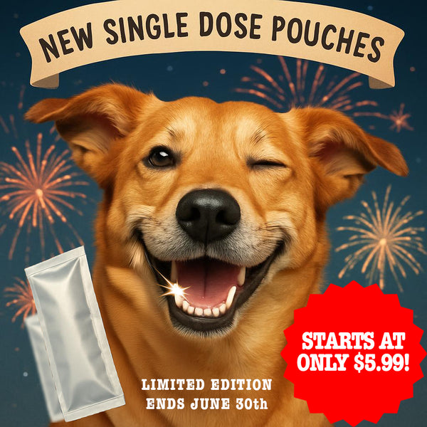 Travel Pack CBD Oil - Single Dose Pouches