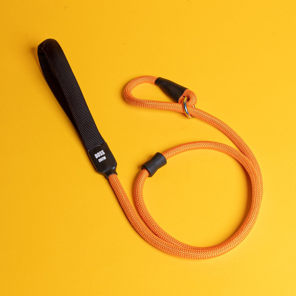 Slip Lead - Reversed Rescue Orange - B.O.S.S. Farms – Boss Farms Family ...